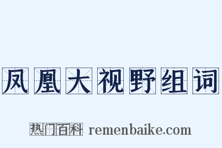 凤凰大视野组词是什么意思的图片